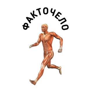 Канал   Факточело