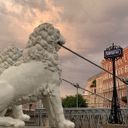 Канал Петербург: новости районов