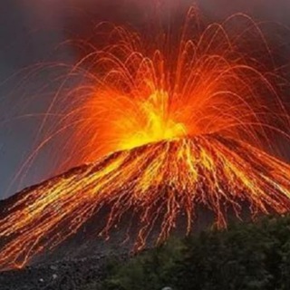 Канал   Дом2. Новости от ТелеСони