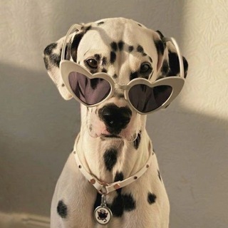 Канал   языки и темы для тг