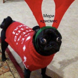 Канал   Шутки за 300