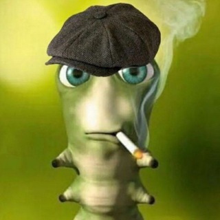 Канал   Пожилая Zелебоба