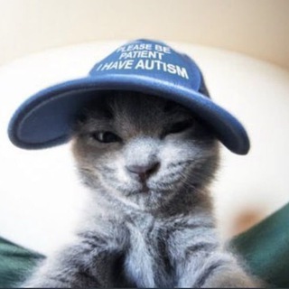 Канал   супер мили котики