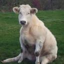 Канал Дашка Каплан ⚰️