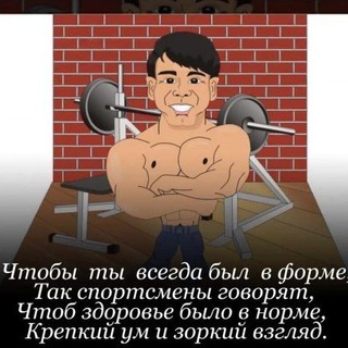 Канал   ФитНов | фитнес| бодибилдинг| правильное питание| для новичков и не только