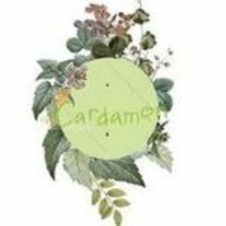 Канал   Cardamon