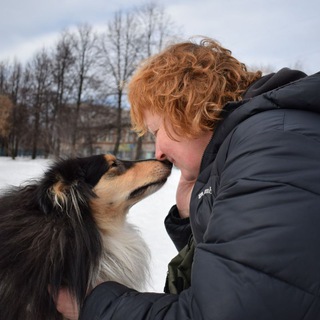 Канал   Собачья жизнь. Я и 3+ 🐶