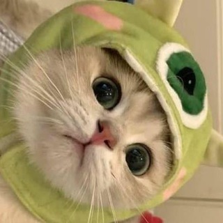 Канал   🇷🇺Чат знакомств и общения