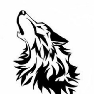 Канал   Polarus