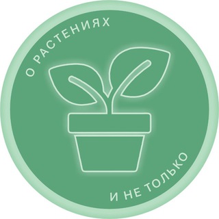 Канал   BogdaSHka 🍀о растениях и не только🍀