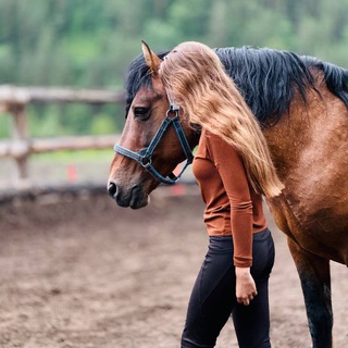 Канал   🐴 Alexa_st.konobloger 🐴