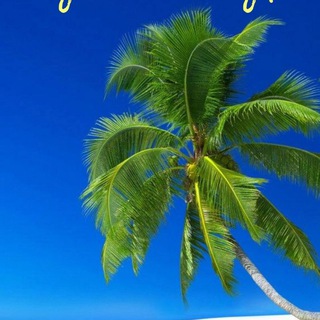 Канал   Лучший Тур