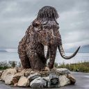 Канал МагИнфо