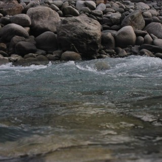 Канал   Природа и люди