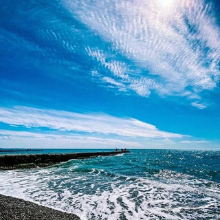 Канал   СДАМ/СНИМУ ЖИЛЬЕ В СОЧИ И АДЛЕРЕ