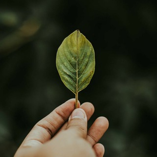 Канал   Экологическая вахта