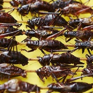 Канал   Чё за Фунчоза