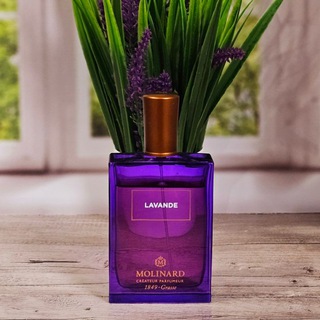 Канал   Духи и туманы