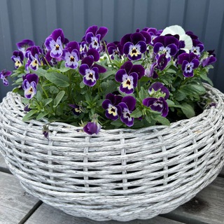 Канал   Плетëнка