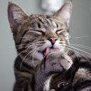 Канал Уходом единым