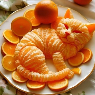 Канал   Васины приколы 🙈