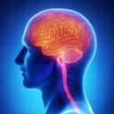 Канал Полезная физиология