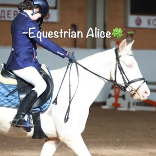 Канал   ~Equestrian Alice🍀🐎