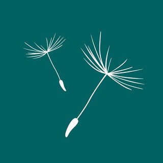 Канал   Фонд «Вера»