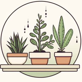 Канал   Домашний сад.