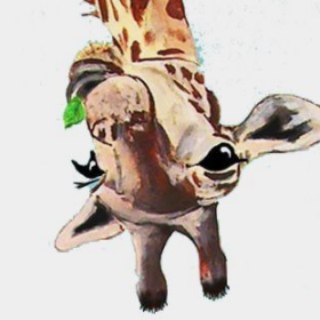 Канал   Digital Giraffe : Common Projects : Focus 00s