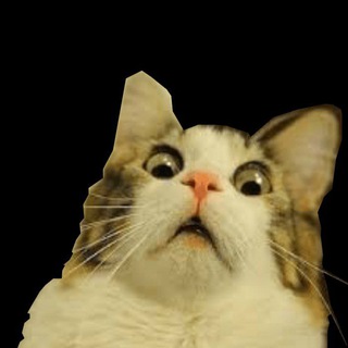 Канал   Улëтные_Telegram_Стикеры