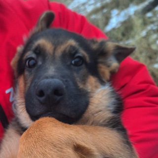 Канал Дедус😎