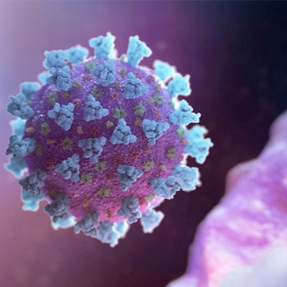 Канал   Медицина | Инсайды