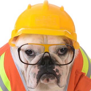 Канал   Работяга с Интеллектом