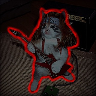 Канал   Вᴏᴄхᴏд ᴩᴏᴋᴀ