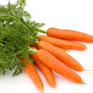 Канал   Чуть больше продакта