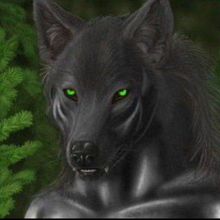 Канал   ФОТО VARG