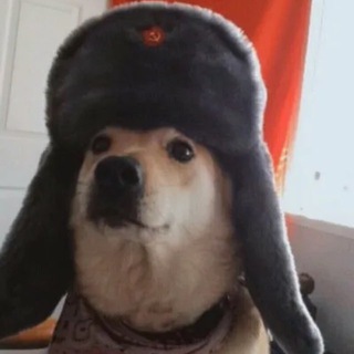 Канал   Слушай, тут такое дело…