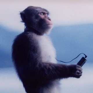 Канал   SPACEmonkey