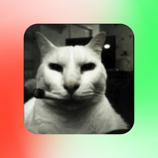 Канал   Итальяшка