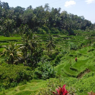 Канал   Change of scenery