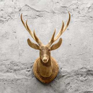 Канал   LoftDesigne