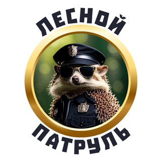 Канал   Лесной патруль