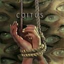 Канал C O I T U S