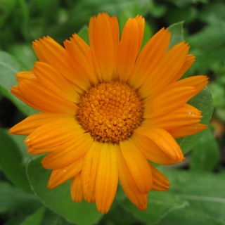 Канал   Забота о природе