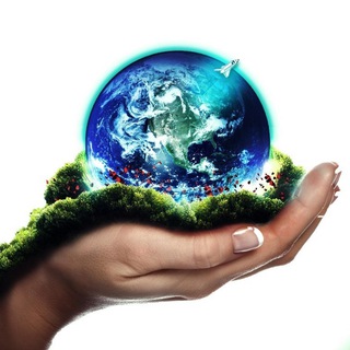 Канал   Планета в фокусе