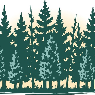 Канал   В лесах Мещеры 🌲 (Рязанская область)