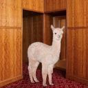 Канал в Риге не скучно