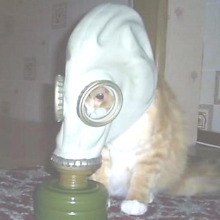 Канал   Новости Каталога по безопасности жизнедеятельности