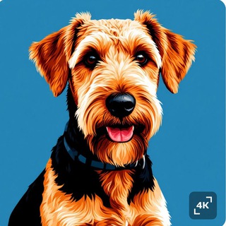 Канал   Адекватная кинология | Анастасия Ковалева